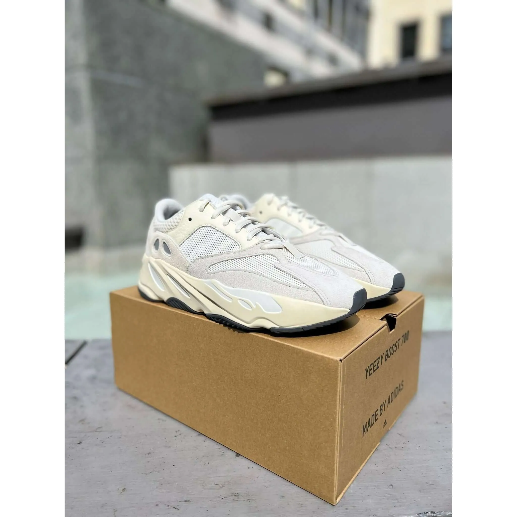 Adidas Yeezy Boost 700 Analog Season Ready Walk Easy