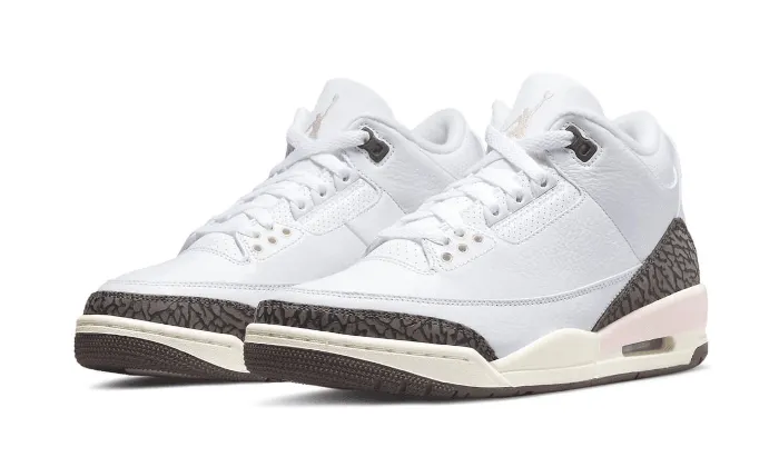 Spring Bounce Fast Steps Air Jordan 3 Dark Mocha (Neapolitan)