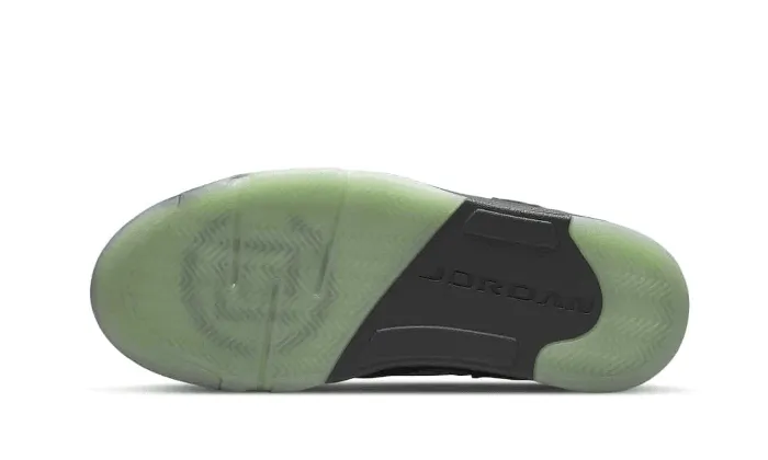 Adaptive Motion Plate Air Jordan 5 Low Clot