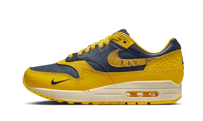 Air Max 1 CO.JP Michigan Sneaker Inserts Pro Agility Jump