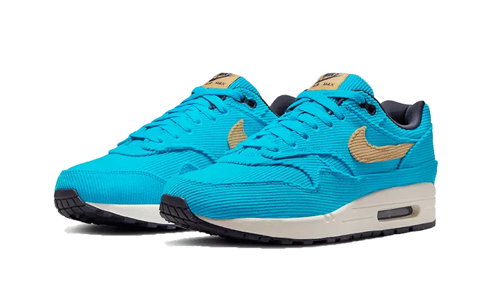Dynamic Flex Grooves Air Max 1 Corduroy Baltic Blue