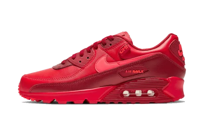 Endurance Agility Tension Adaptive Lacing Air Max 90 Chi-City Special