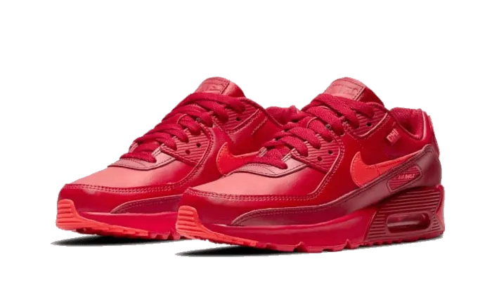 Multi Directional Flex Air Max 90 Chi-City Special