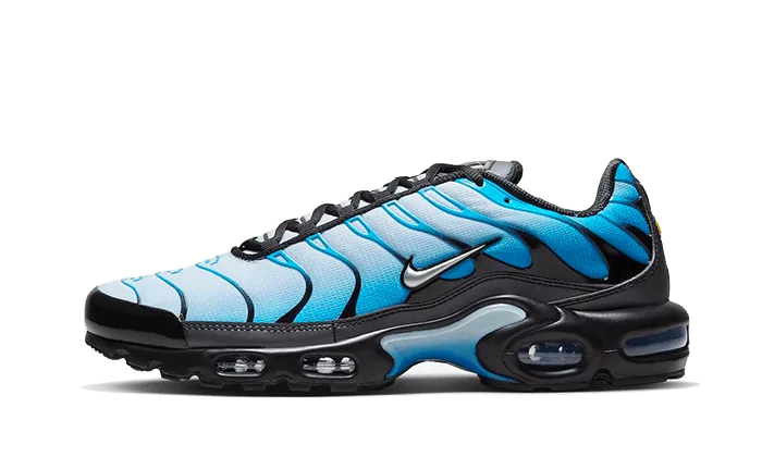 Neutral Motion Frame Air Max Plus Blue Gradient
