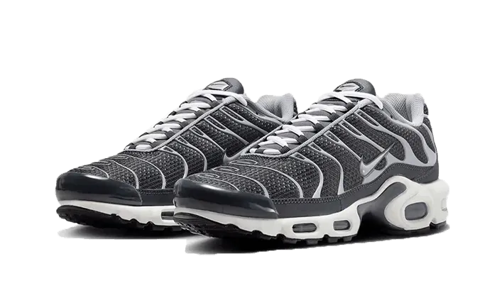 Air Max Plus SE Greyscale Cool Grey Stability Control Frame