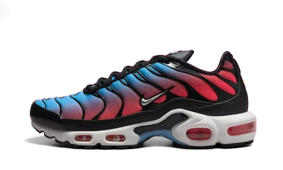 Workout Air Max Plus University Blue Light Crimson
