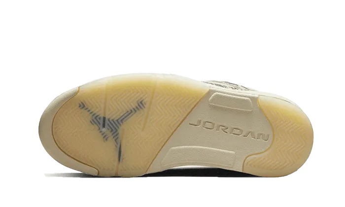 Training Field Wear Breathable Design Air Jordan 5 Low Expression