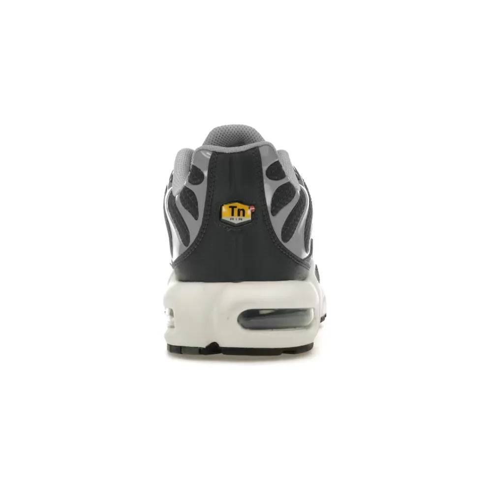 Nike Air Max Plus Greyscale Cool Grey ContouredSole