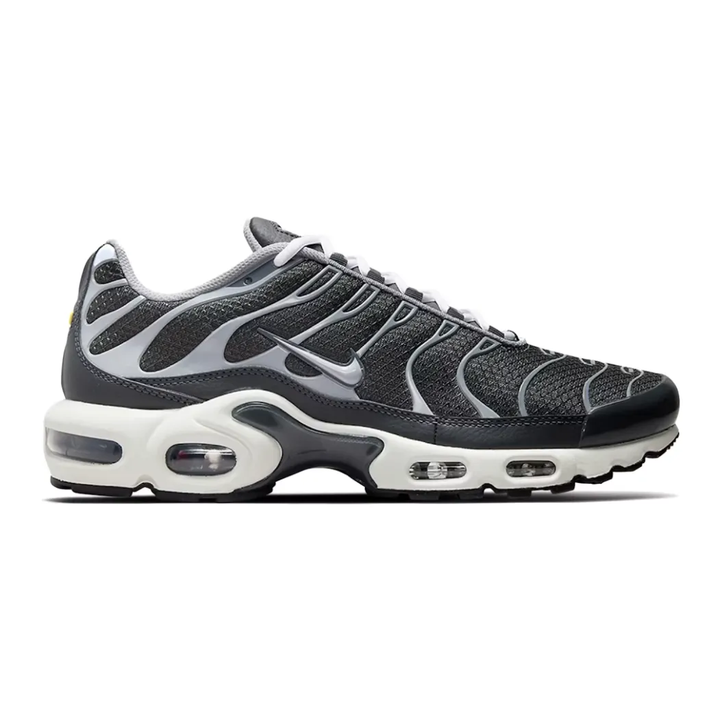 Nike Air Max Plus Greyscale Cool Grey All Weather Wear