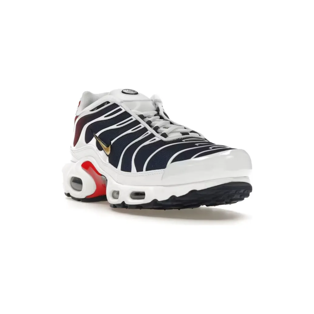 Nike Air Max Plus TN PSG Swift Force