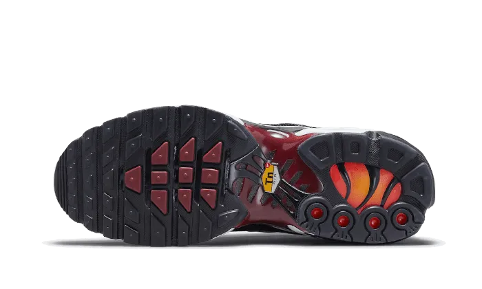 Agility Response Air Max Plus Sisterhood