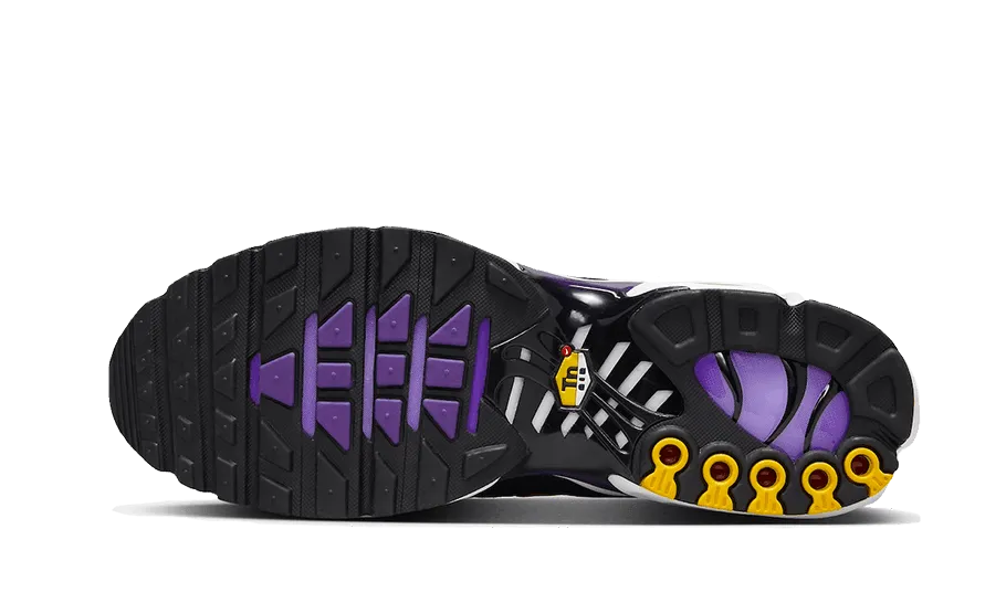 Air Max Plus Voltage Purple sports High Top Style