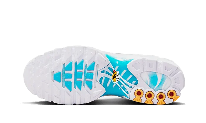 Machine washable Air Max Plus Marseille