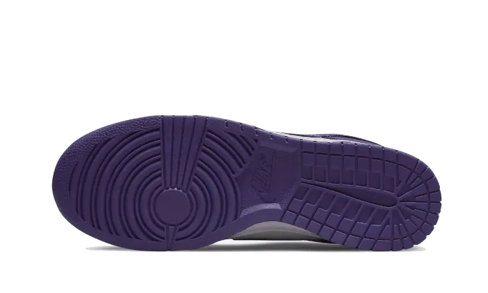 Day Ready Non Toxic Adhesives Dunk Low Court Purple (2022)