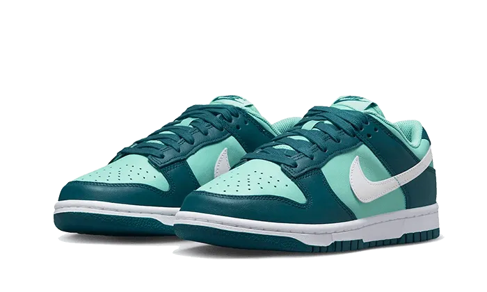 Odor Control Treatment Sleek Wear Dunk Low Geode Teal