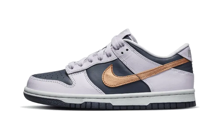 Training Mode Dunk Low SE Copper Swoosh