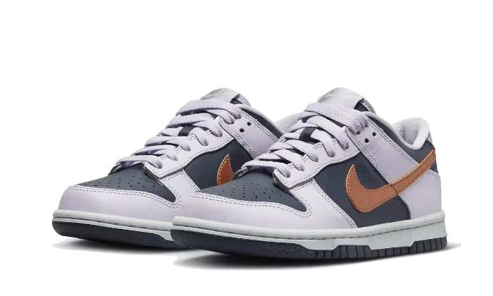 Dunk Low SE Copper Swoosh Speedy Walk