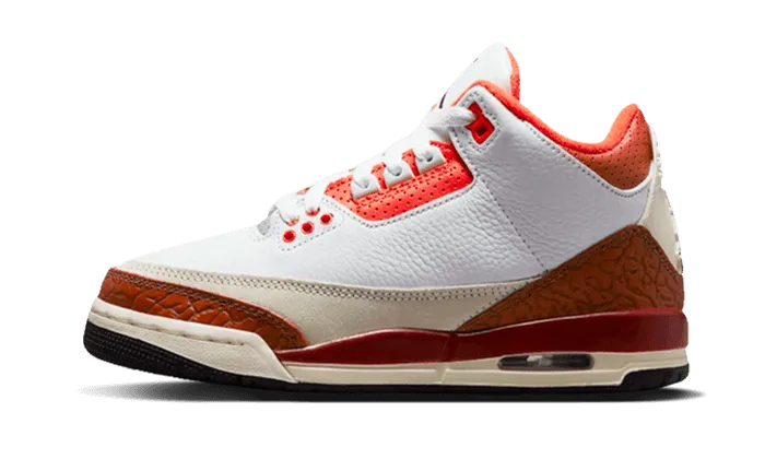 Foam Padding Technology Air Jordan 3 Dunk On Mars