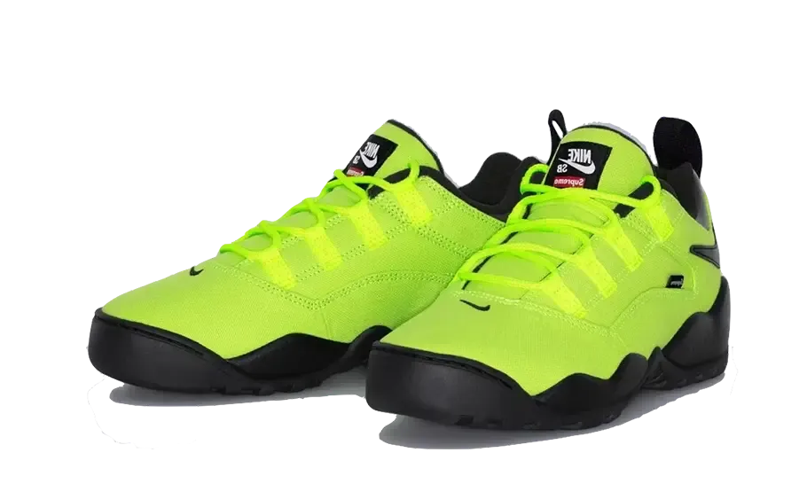 indoor exercise SB Darwin Low Supreme Volt