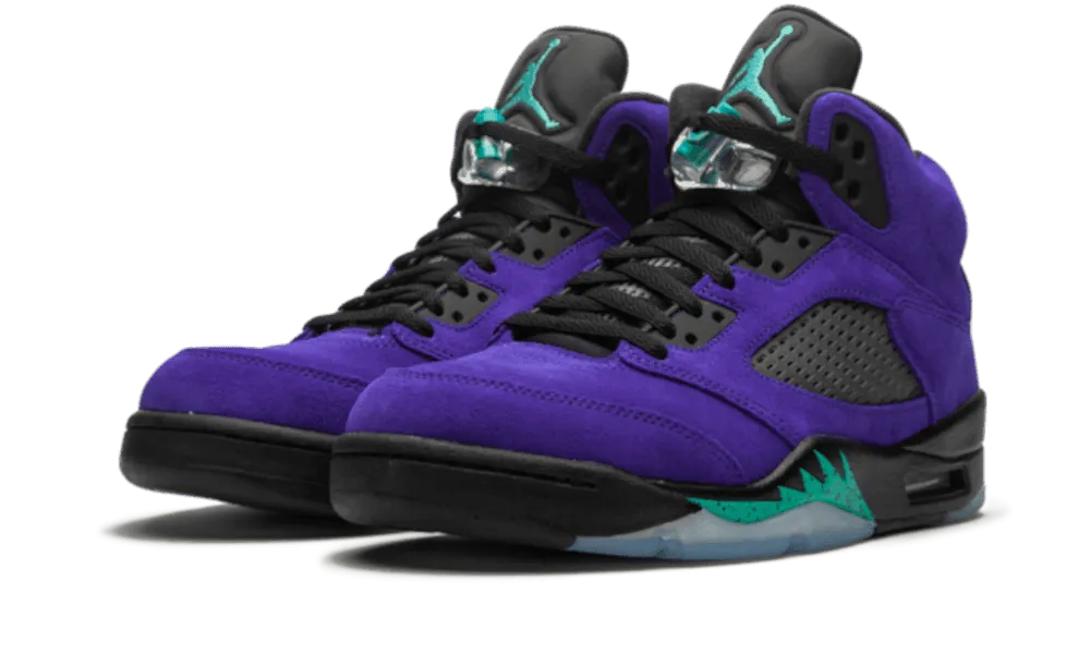 Air Jordan 5 Retro Alternate Grape Supportive Collar