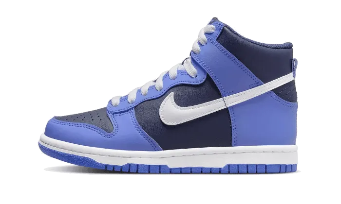 Dunk High Obsidian Neutral Ride