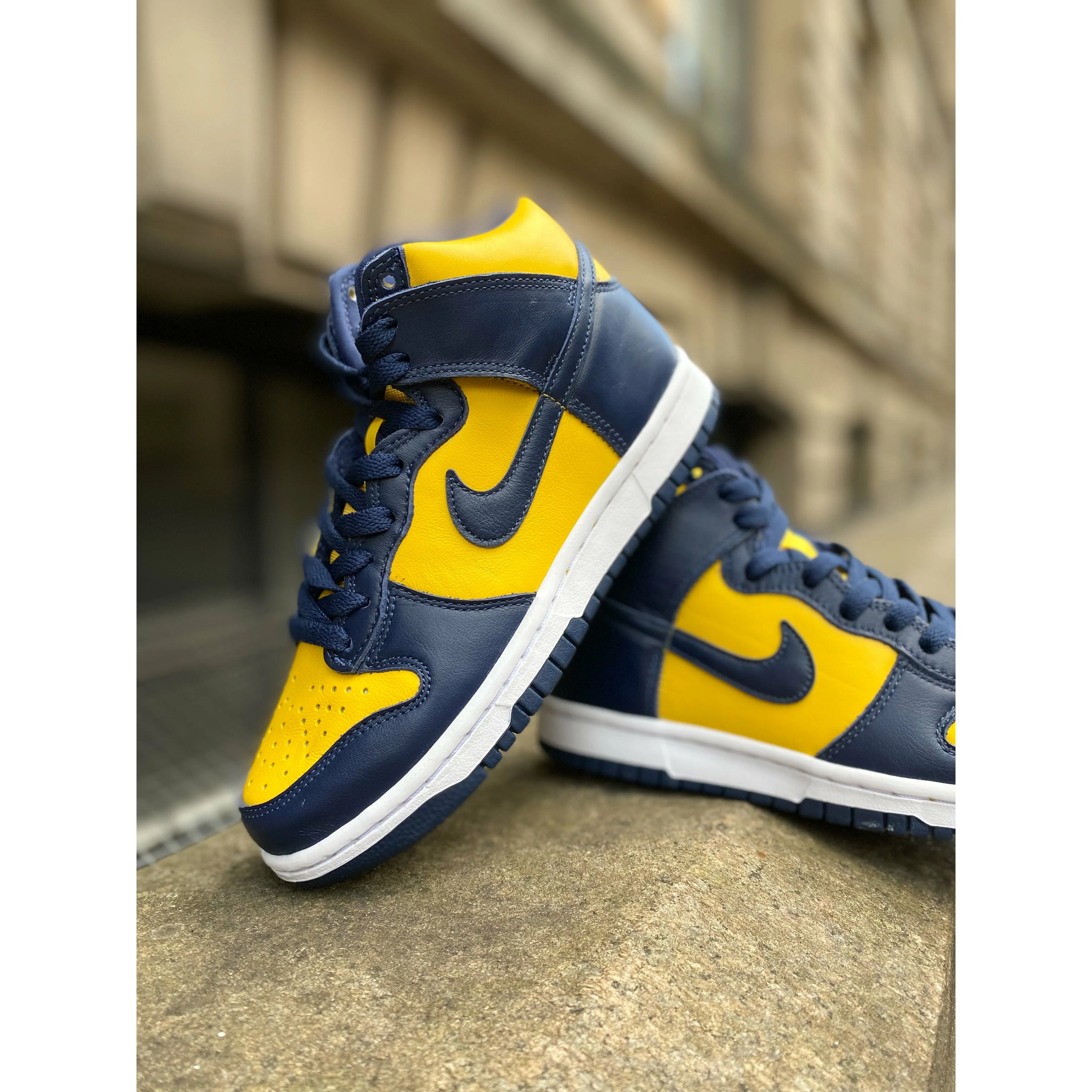well made Trail Usage Nike Dunk High Michigan (2020)