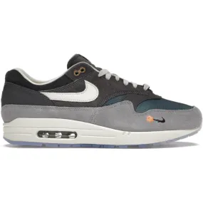 Nike Air Max 1 Kasina Won-Ang Grey Shock Diffusion Technology