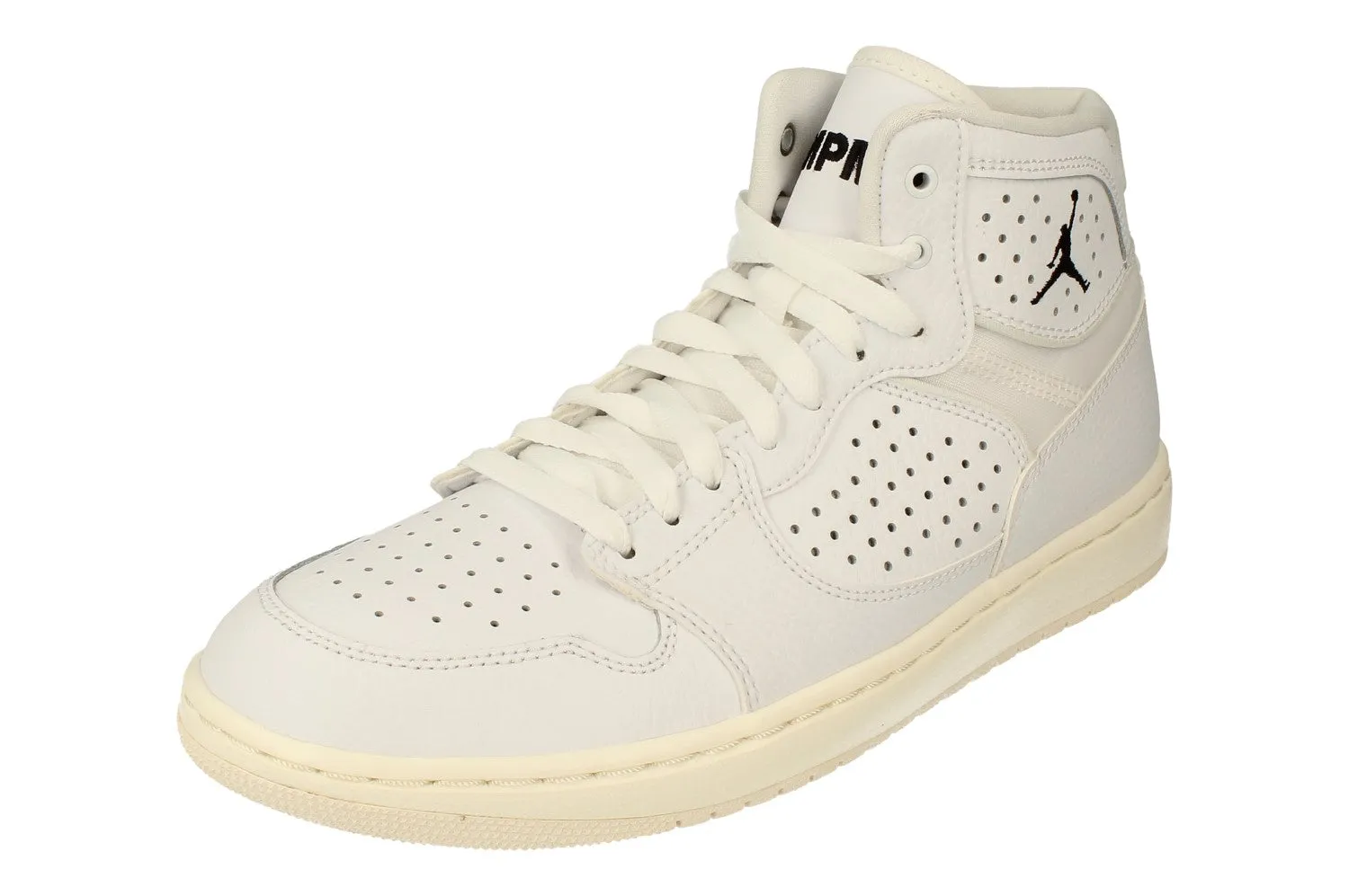 Nike Air Jordan Access Mens Basketball Trainers AR3762 100 Snowy running park - running