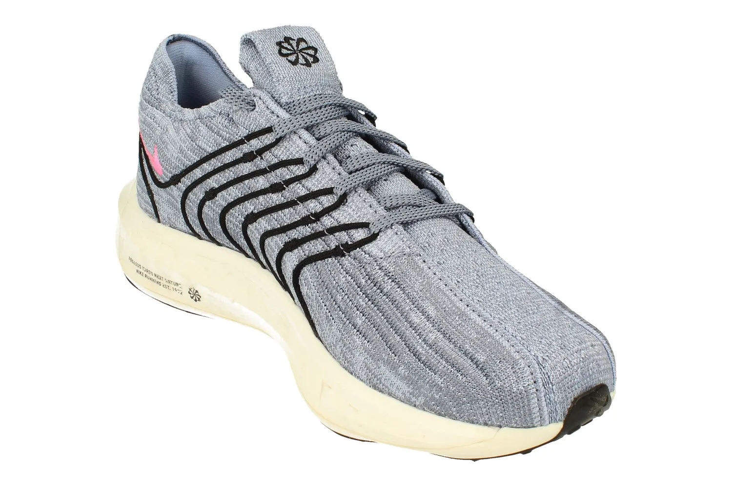 Nike Pegasus Turbo Next Nature Mens | Ashen Slate for beginners