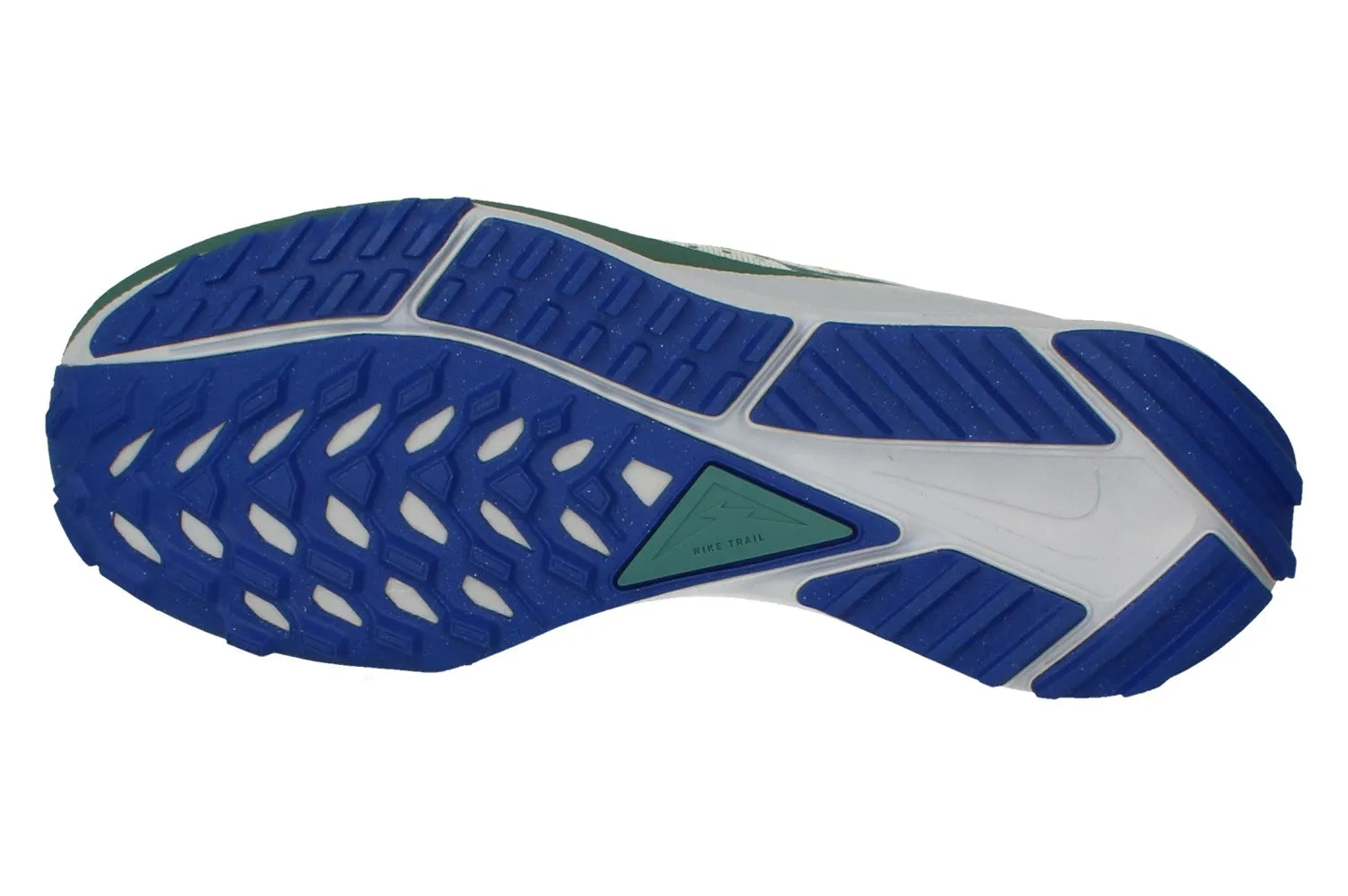 Nike React Pegasus Trail 4 Mens DJ6158 005 snow running shoes