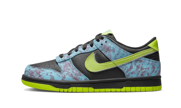 Quick Lacing System Dunk Low Acid Wash