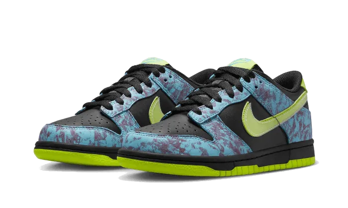 ModernDesign Dunk Low Acid Wash
