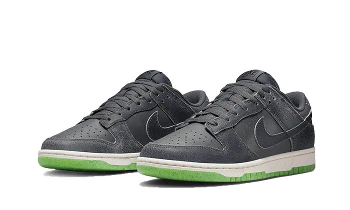 Dunk Low Swoosh Shadow Iron Grey Ready For Action Torsional Stability Frame