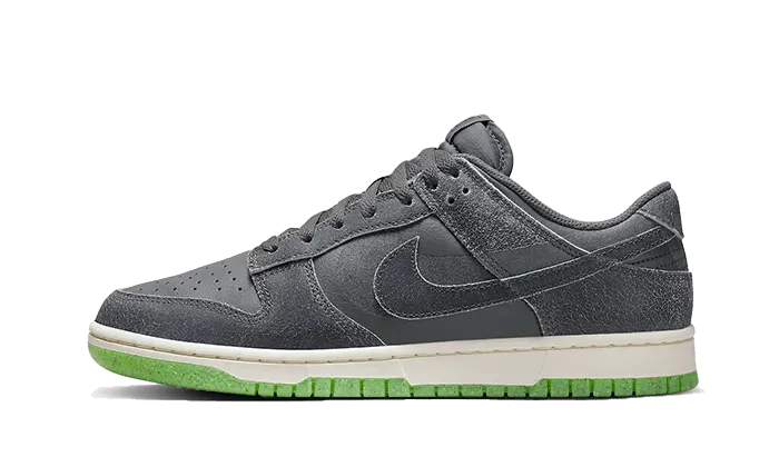 Low Touch Dunk Low Swoosh Shadow Iron Grey