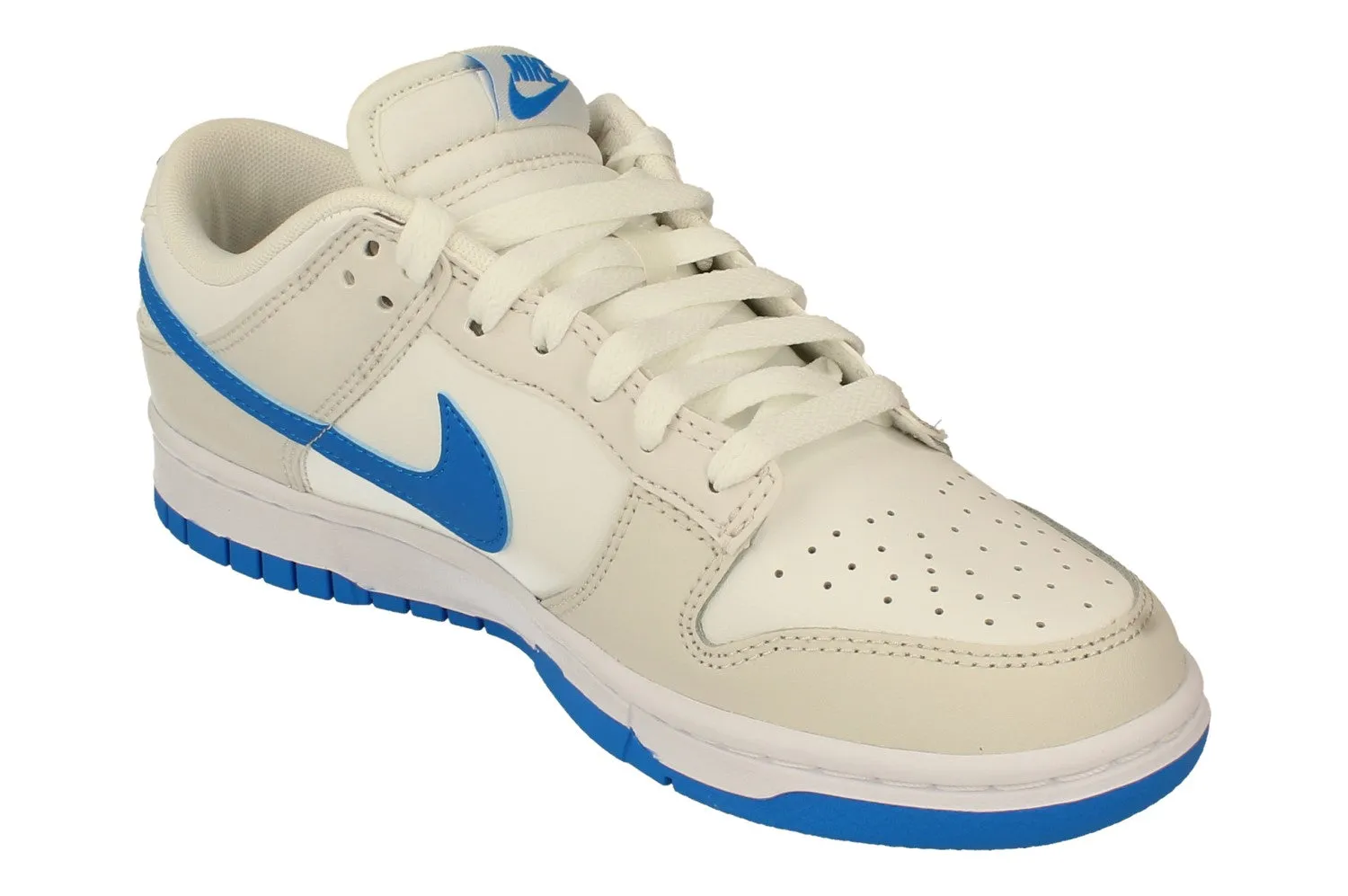 Nike Dunk Low Retro Mens Trainers DV0831 108 extra - wide running shoes