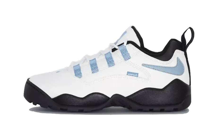 SB Darwin Low Supreme Sail running in a levee area shoes