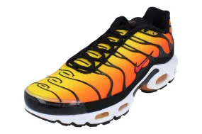 Enhanced Flexibility Forest Run Nike Air Max Plus Mens Trainers Hf0552  001