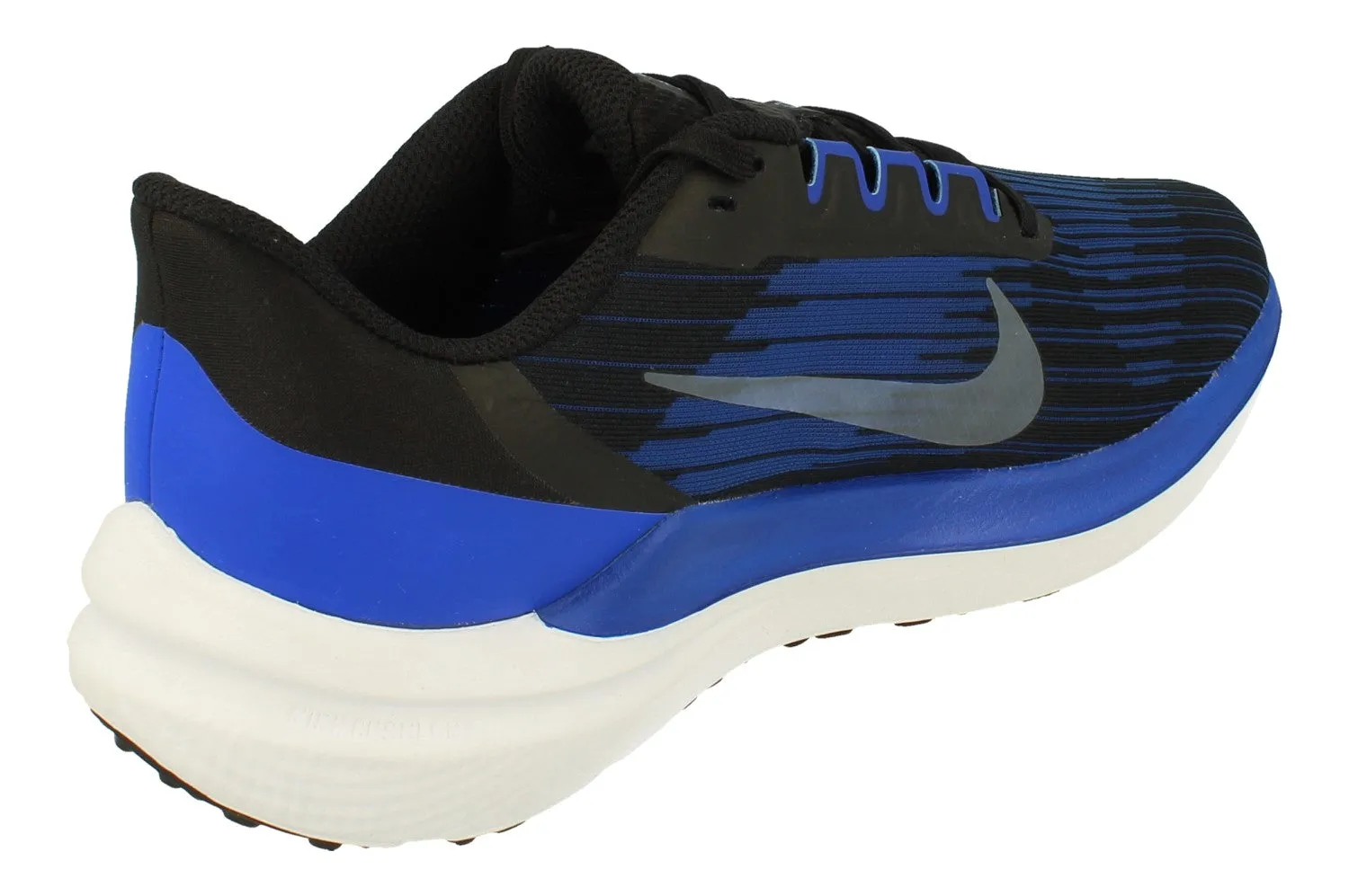 veteran running footwear grass - running shoes Nike Air Winflo 9 Mens DD6203 004