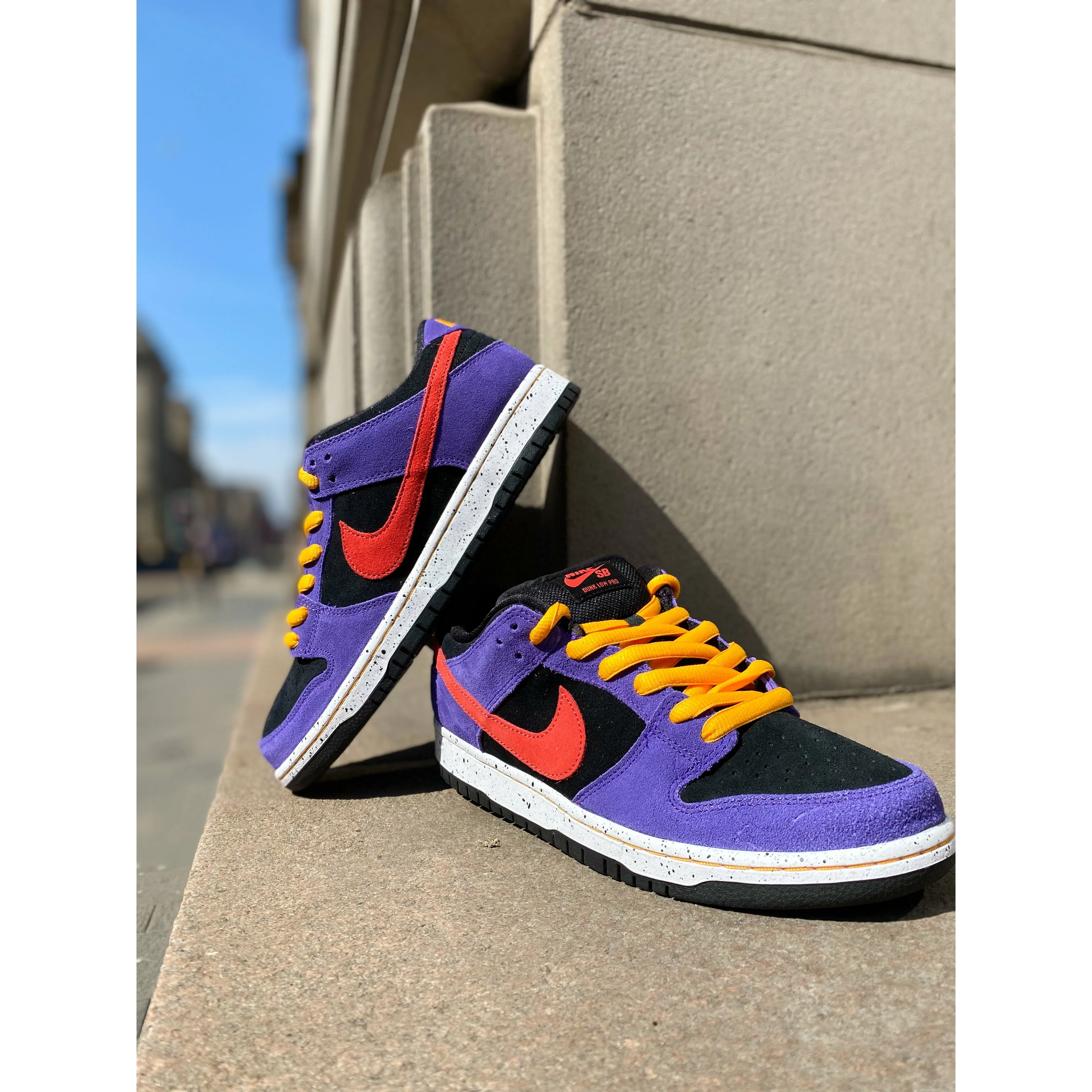 Timeless Chic Nike SB Dunk Low ACG Terra